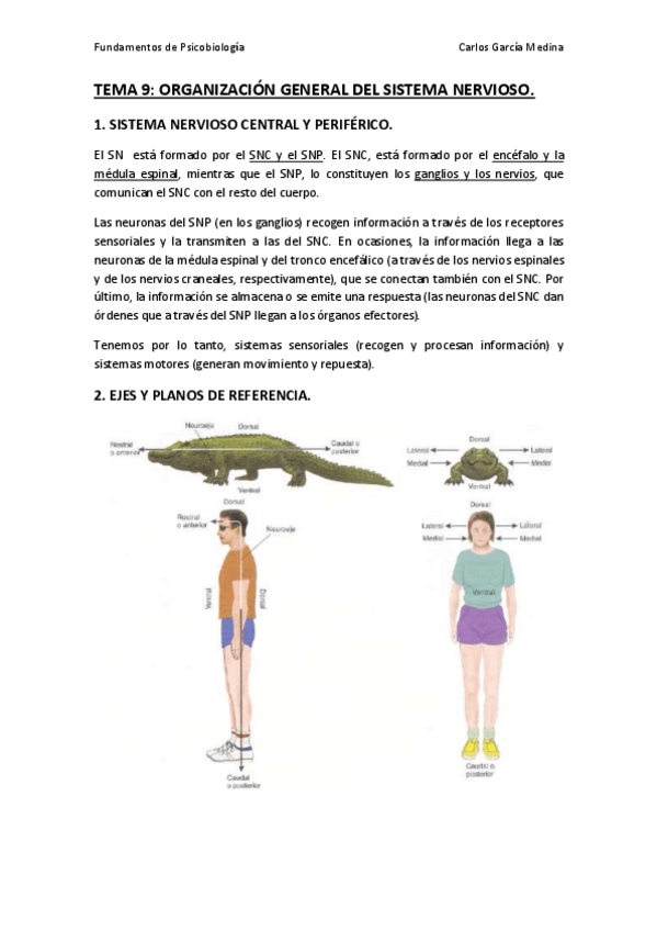 Miniatura del documento TEMA 9.pdf