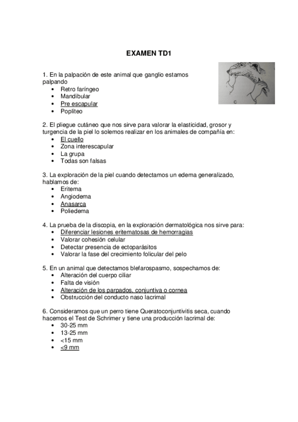 Miniatura del documento Examen-TDI-1.pdf