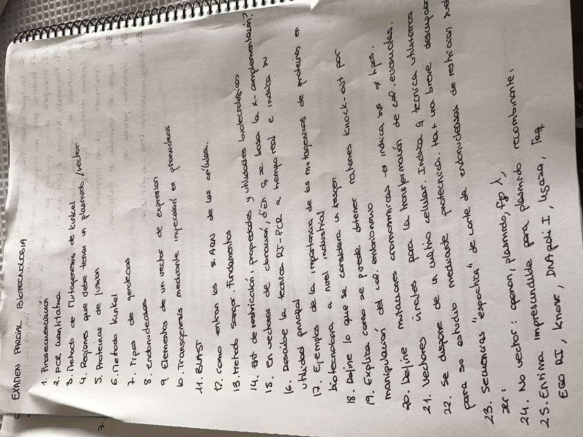 Miniatura del documento IMG_0584.JPG