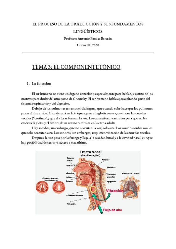Miniatura del documento Tema-3-Linguistica.pdf