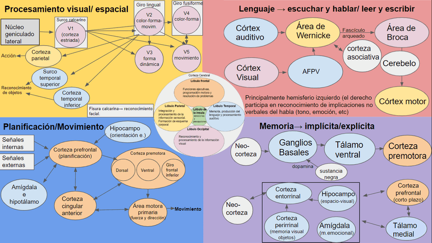 Miniatura del documento EsquemaNeuropsicologiaTaraGuerraGonzalez.png