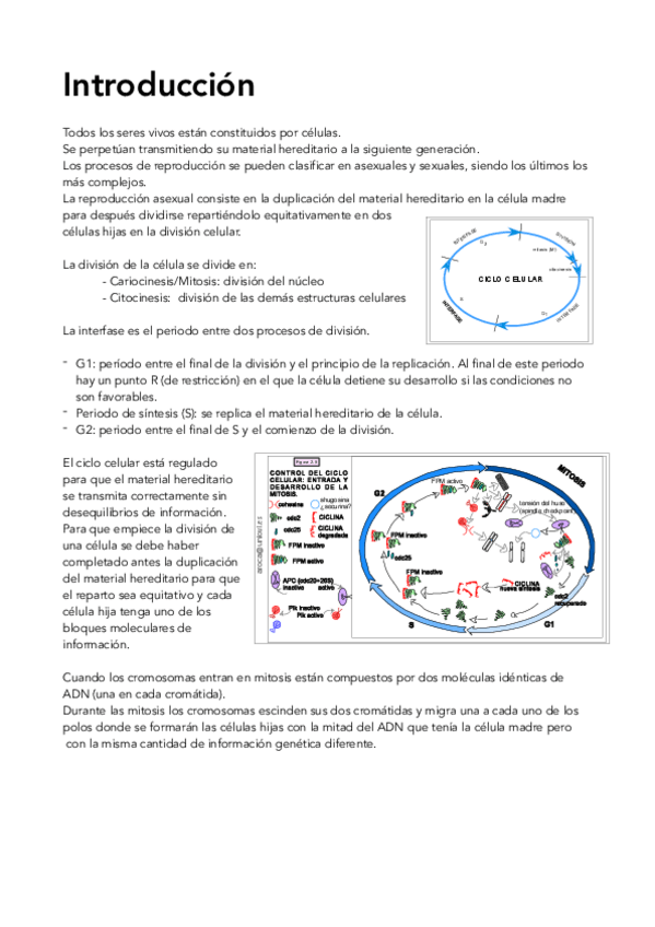 Miniatura del documento BIOLOGIA-RESUMEN.pdf