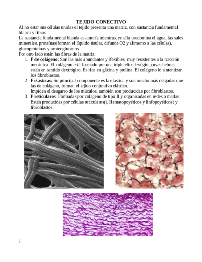 Miniatura del documento Tejido-conectivo-y-adiposo.pdf