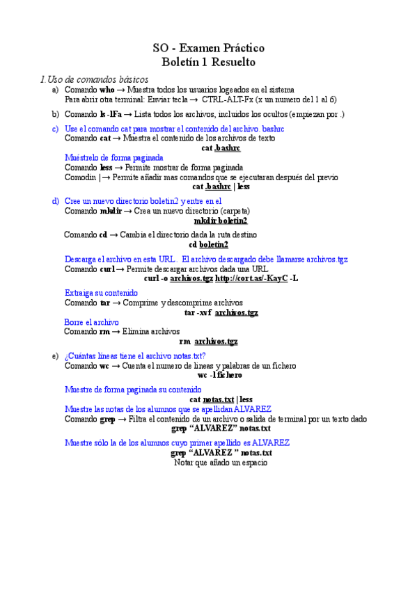 Miniatura del documento SO-Boletin-Practico-1-Resuelto.pdf
