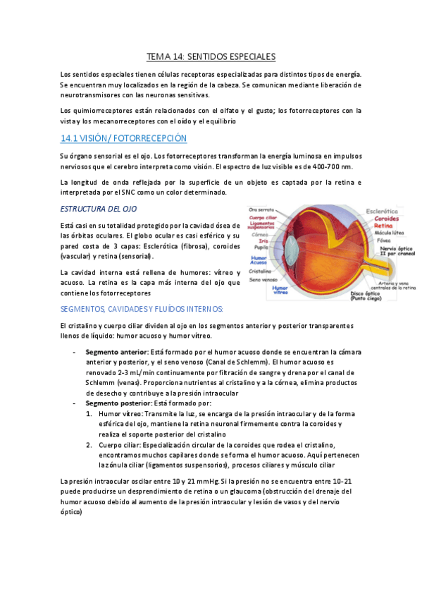 Miniatura del documento TEMA-14.pdf