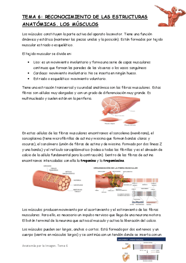 Miniatura del documento tema-6.pdf