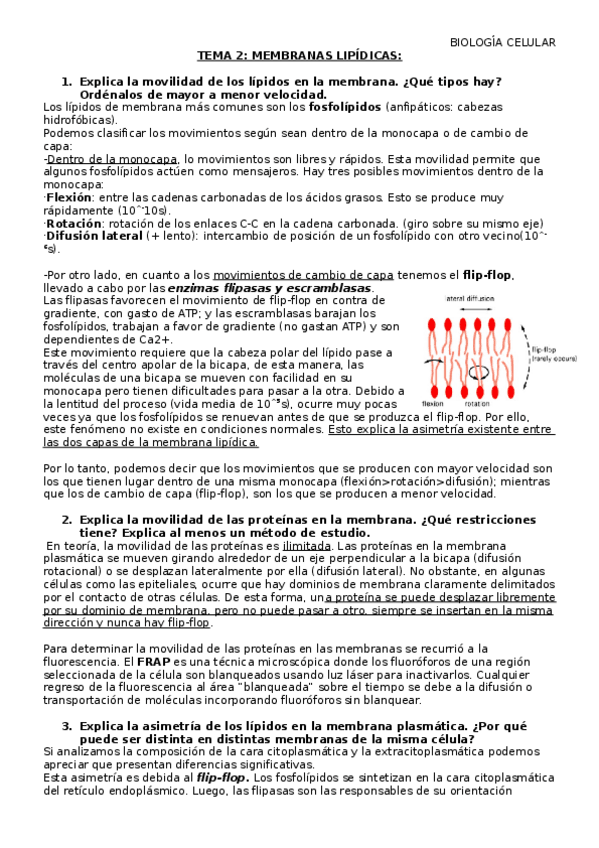 Miniatura del documento CUESTIONES-BIOCEL.docx