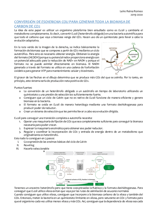 Miniatura del documento Conversion-de-E.pdf
