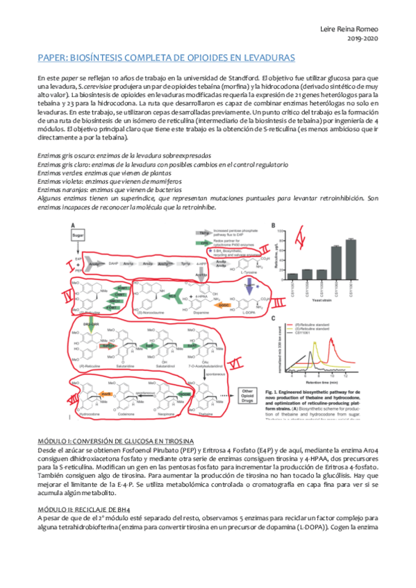Miniatura del documento Biosintesis-de-opioides-.pdf
