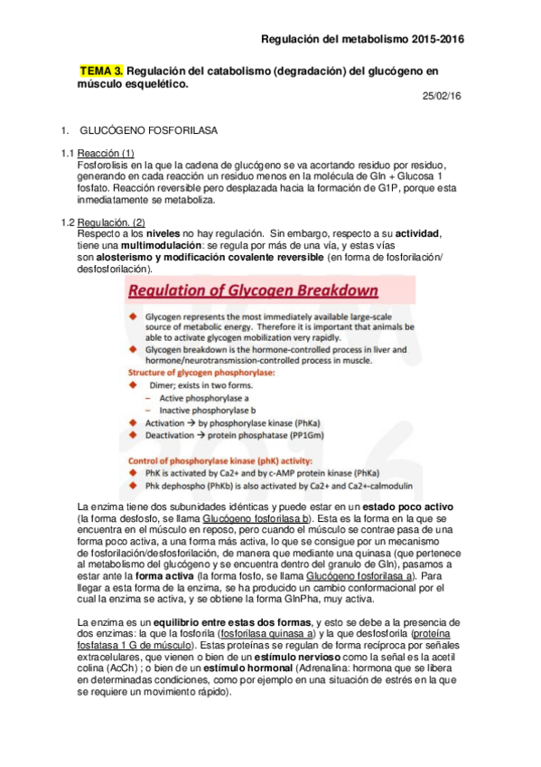 Miniatura del documento TEMA-3.pdf