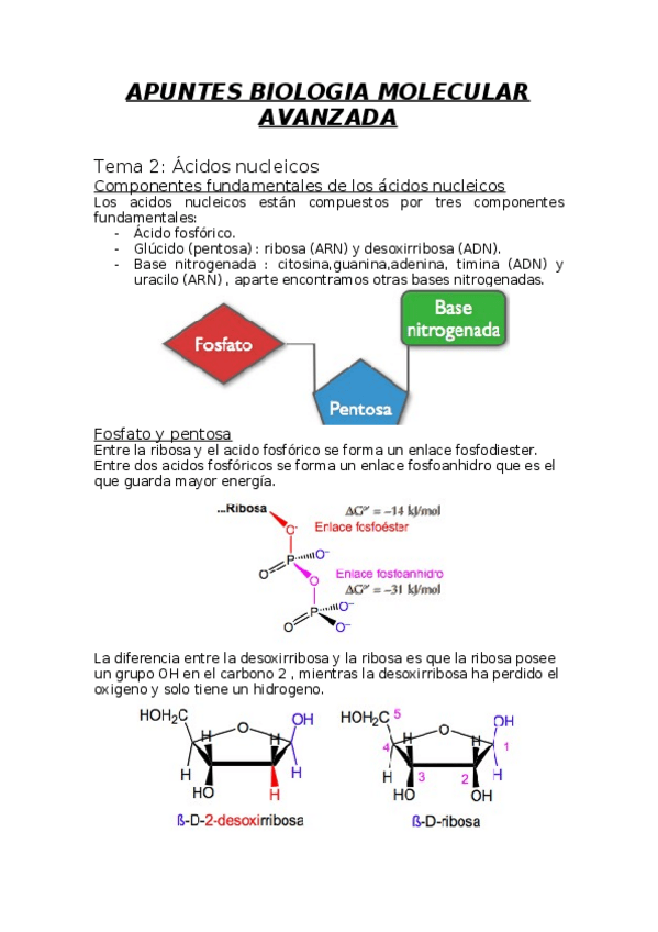Miniatura del documento BIO-MOLECULAR-AVANZADA-1-13.docx