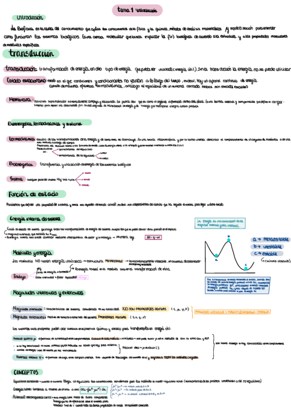 Miniatura del documento esquemasbiofisicaferreryvillalain.pdf