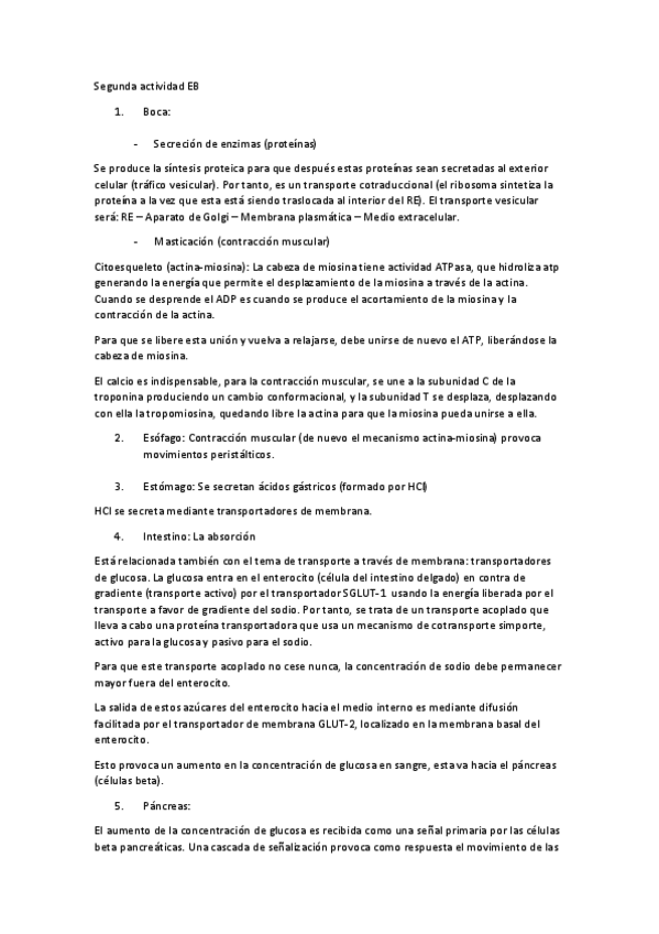Miniatura del documento Segunda-actividad-EB-corregida.pdf