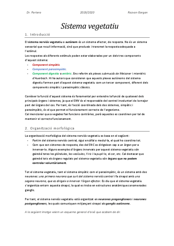 Miniatura del documento Sistema-vegetatiu.pdf