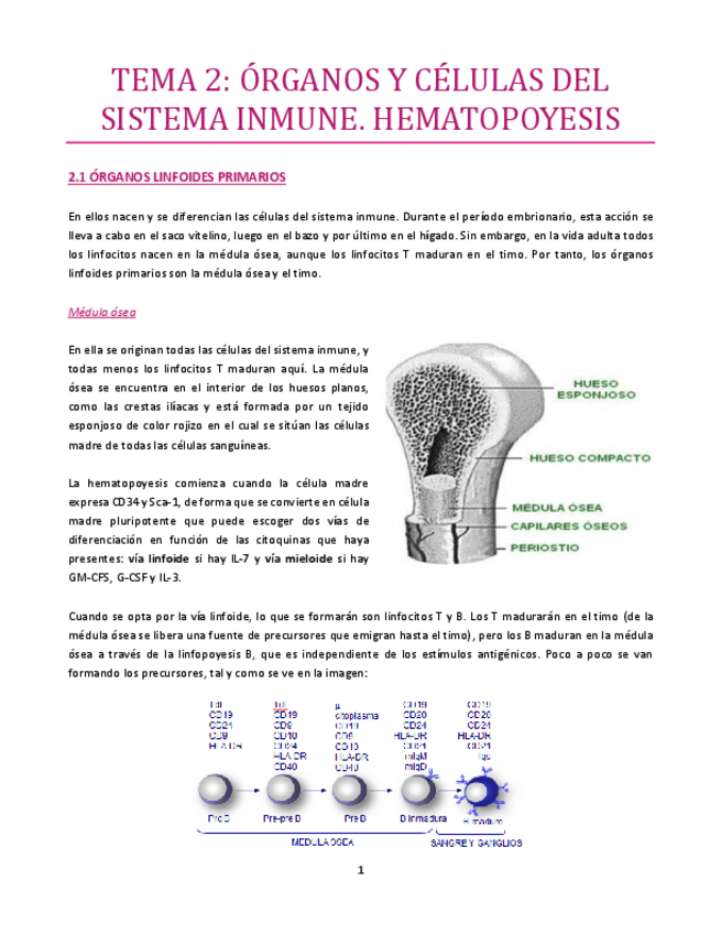 Miniatura del documento TEMA-2-Inmuno.pdf
