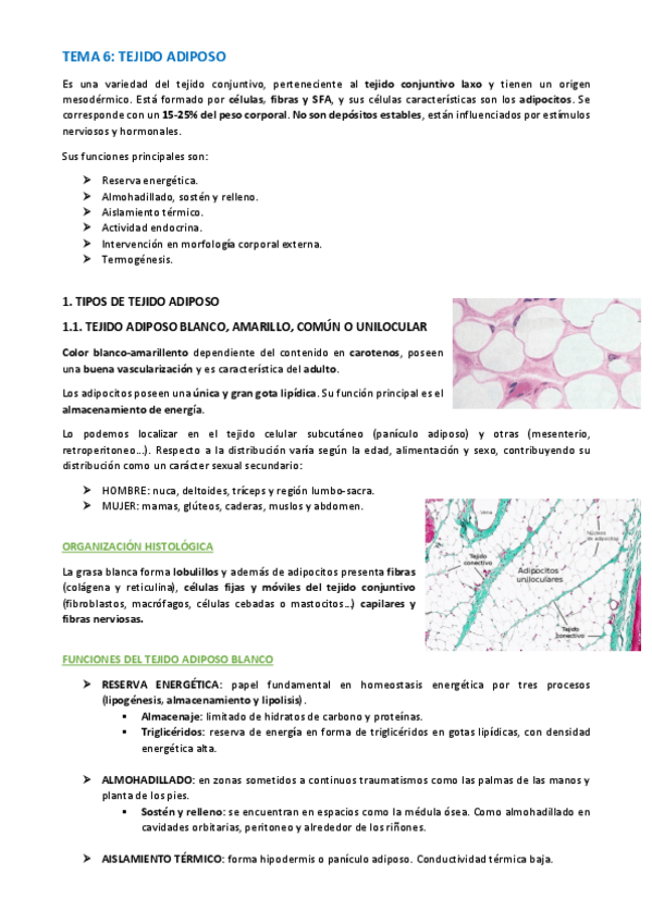Miniatura del documento TEMA-HISTOLOGIA-39-41.pdf