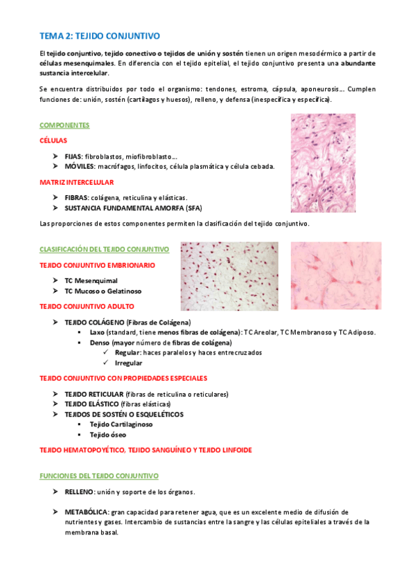 Miniatura del documento TEMA-HISTOLOGIA-16-21.pdf