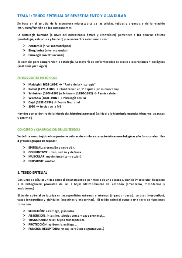 Miniatura del documento TEMA-HISTOLOGIA-6-15.pdf