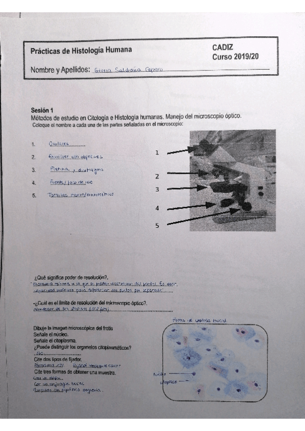 Miniatura del documento Cuaderno-Organo.pdf