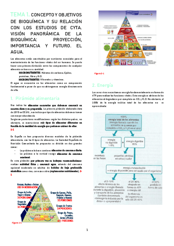 Miniatura del documento TEMA-1.pdf