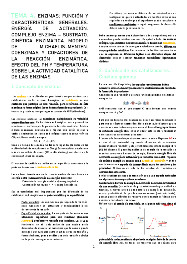 Miniatura del documento TEMA-4.pdf