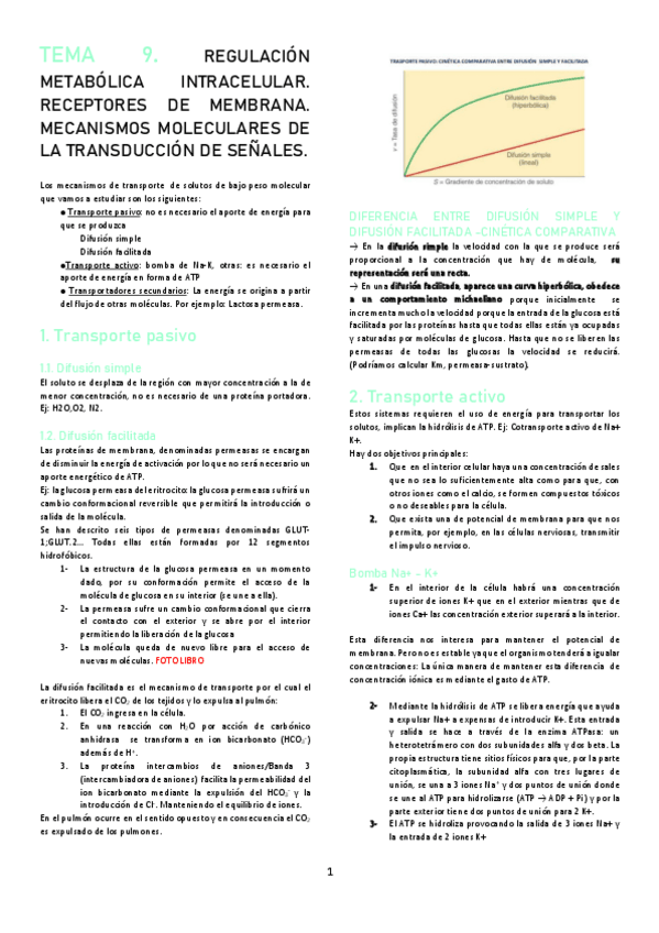 Miniatura del documento TEMA-9.pdf