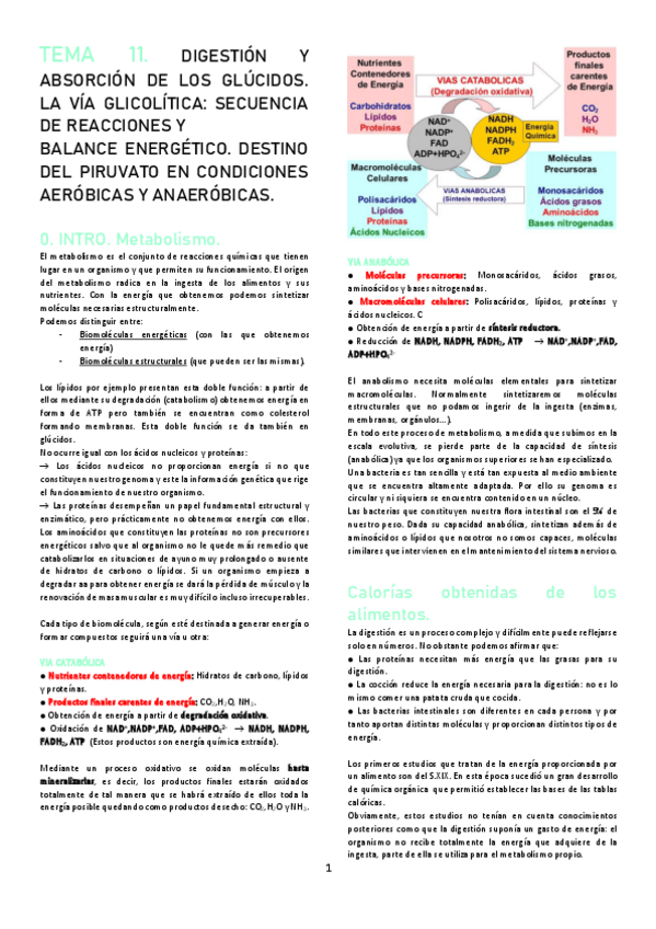 Miniatura del documento TEMA-11.pdf