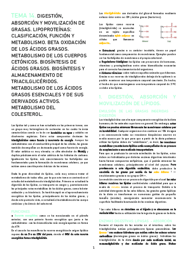 Miniatura del documento TEMA-14.pdf