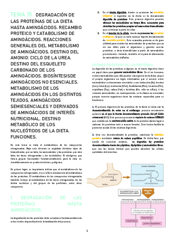 Miniatura del documento TEMA-15.pdf