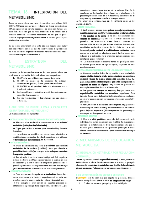 Miniatura del documento TEMA-16.pdf