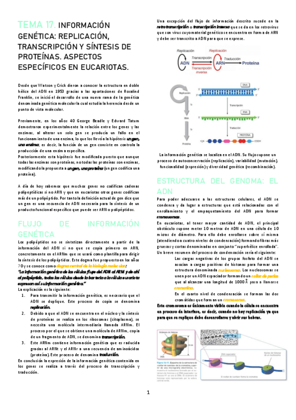 Miniatura del documento TEMA-17.pdf