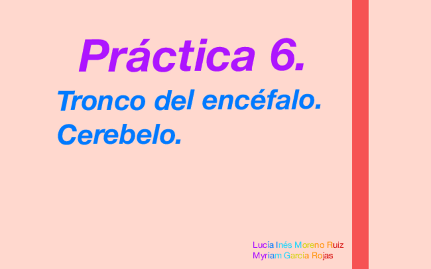 Miniatura del documento P6.pdf