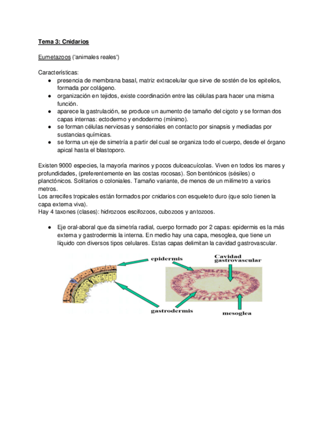 Miniatura del documento Tema-3-fauna-1.pdf