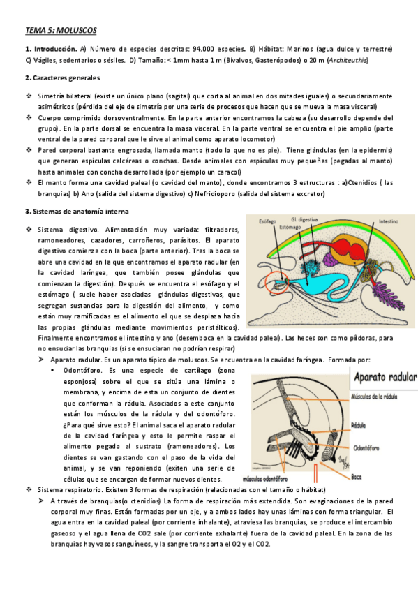 Miniatura del documento TEMA-5-fauna.pdf