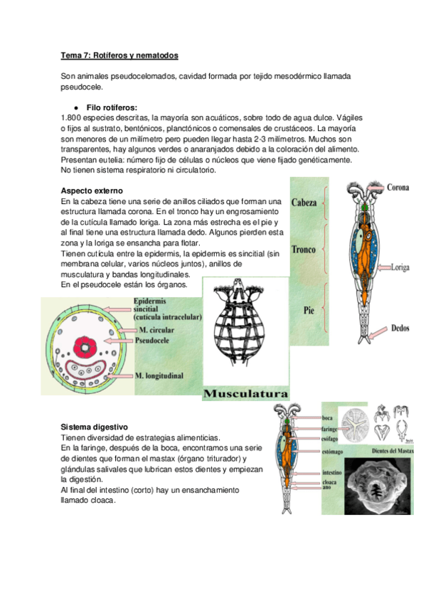 Miniatura del documento Tema-7-fauna.pdf