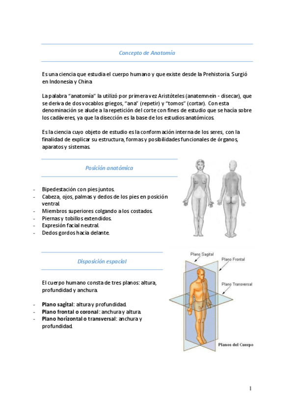 Miniatura del documento Anatomía.pdf