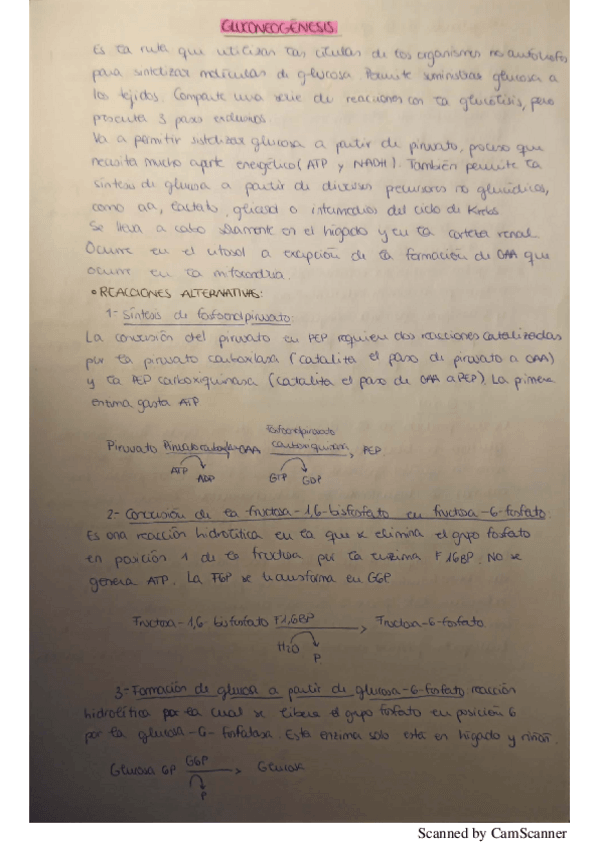 Miniatura del documento tema-15-bioquimica.pdf