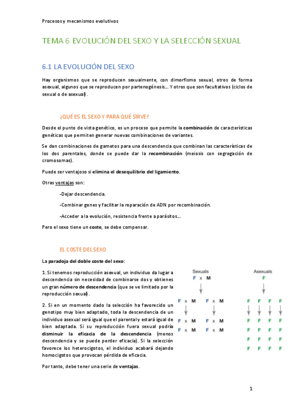 Miniatura del documento Tema-6-Evolucion-del-Sexo-y-de-la-Seleccion-Sexual.pdf