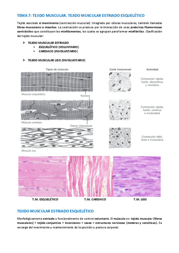 Miniatura del documento TEMA-HISTOLOGIA-42-47.pdf