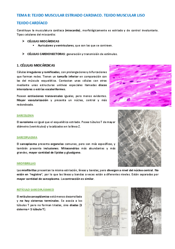 Miniatura del documento TEMA-HISTOLOGIA-48-51.pdf