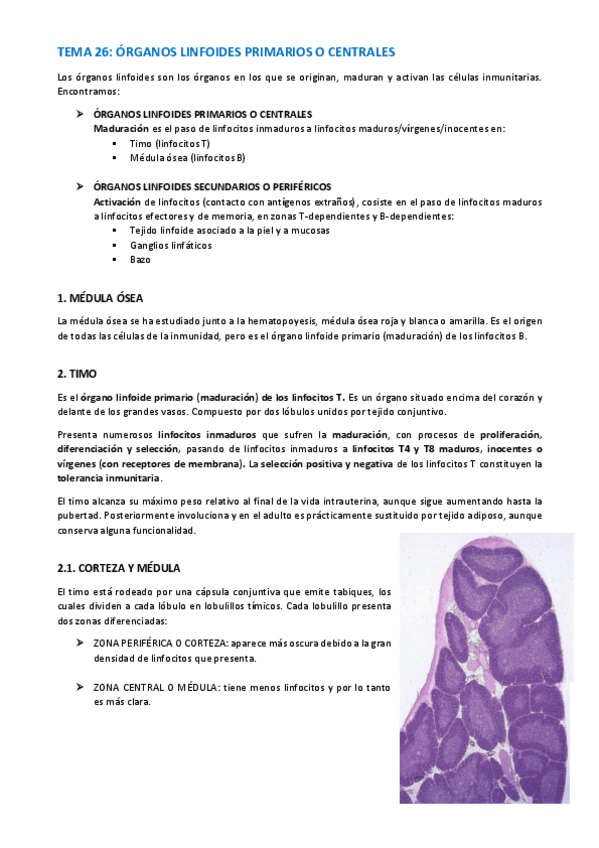 Miniatura del documento TEMA-HISTOLOGIA-131-133.pdf