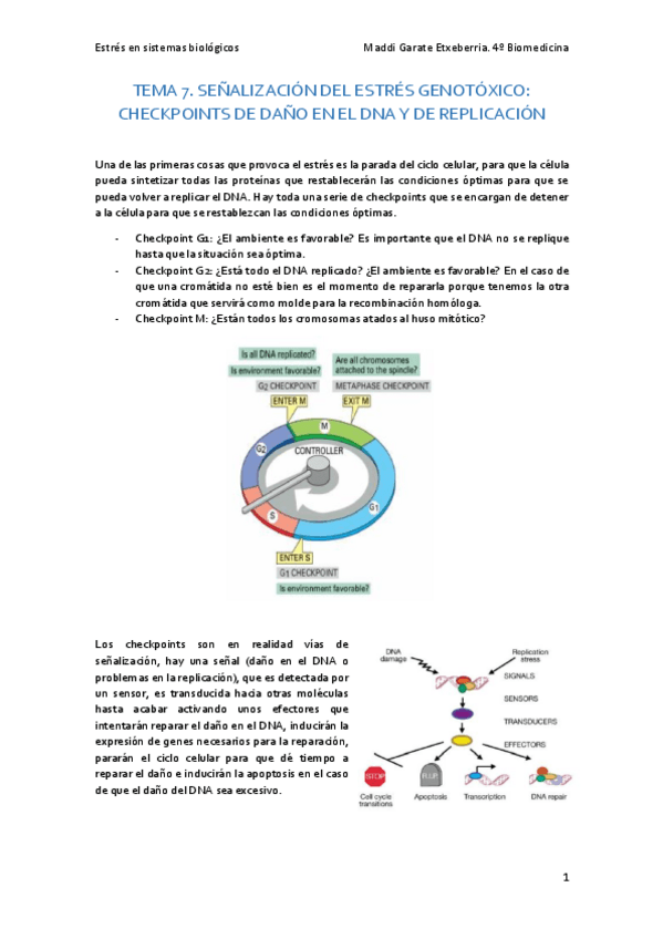 Miniatura del documento Estres-en-sistemas-biologicos.pdf