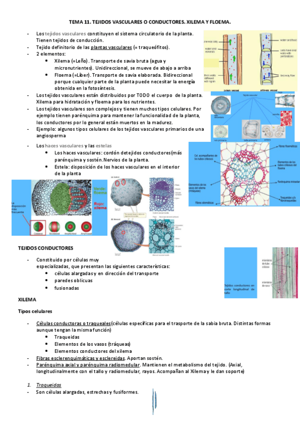 Miniatura del documento tema-15-a.pdf