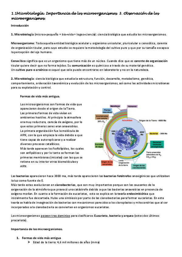 Miniatura del documento Tema-1-Y-TEMA-3.pdf