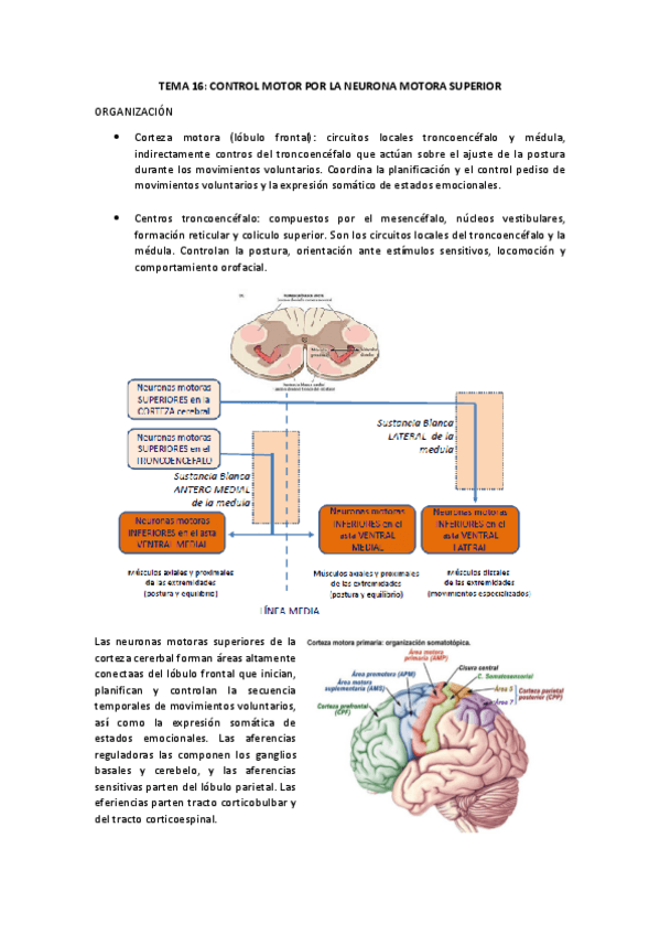 Miniatura del documento TEMA-16.pdf