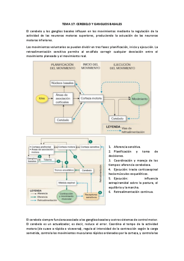 Miniatura del documento TEMA-17.pdf