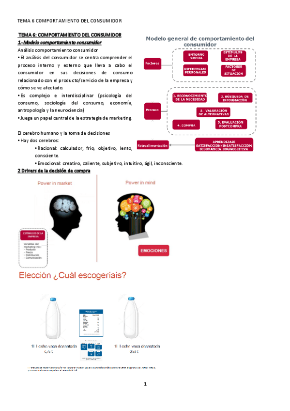Miniatura del documento T6-RESUMEN-MKTI.pdf