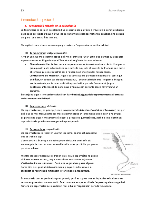Miniatura del documento Fisiologia-Reproductor-part-4.pdf