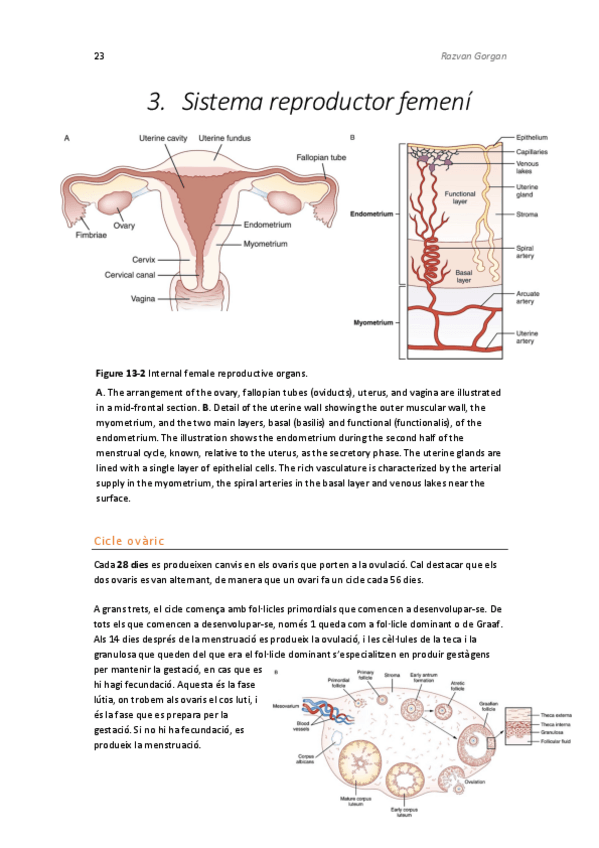 Miniatura del documento Fisiologia-Reproductor-part-3.pdf
