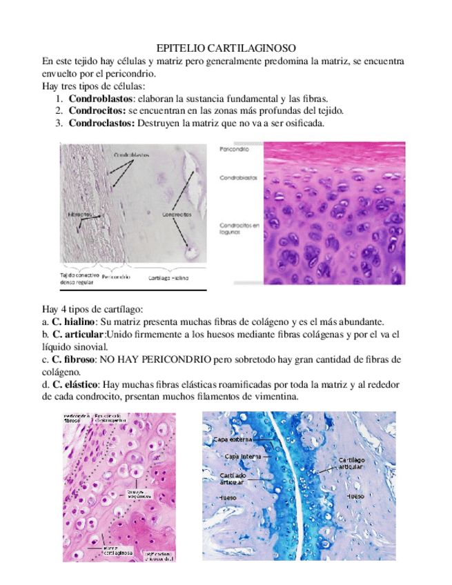 Miniatura del documento Nuevo-Texto-de-OpenDocument.odt